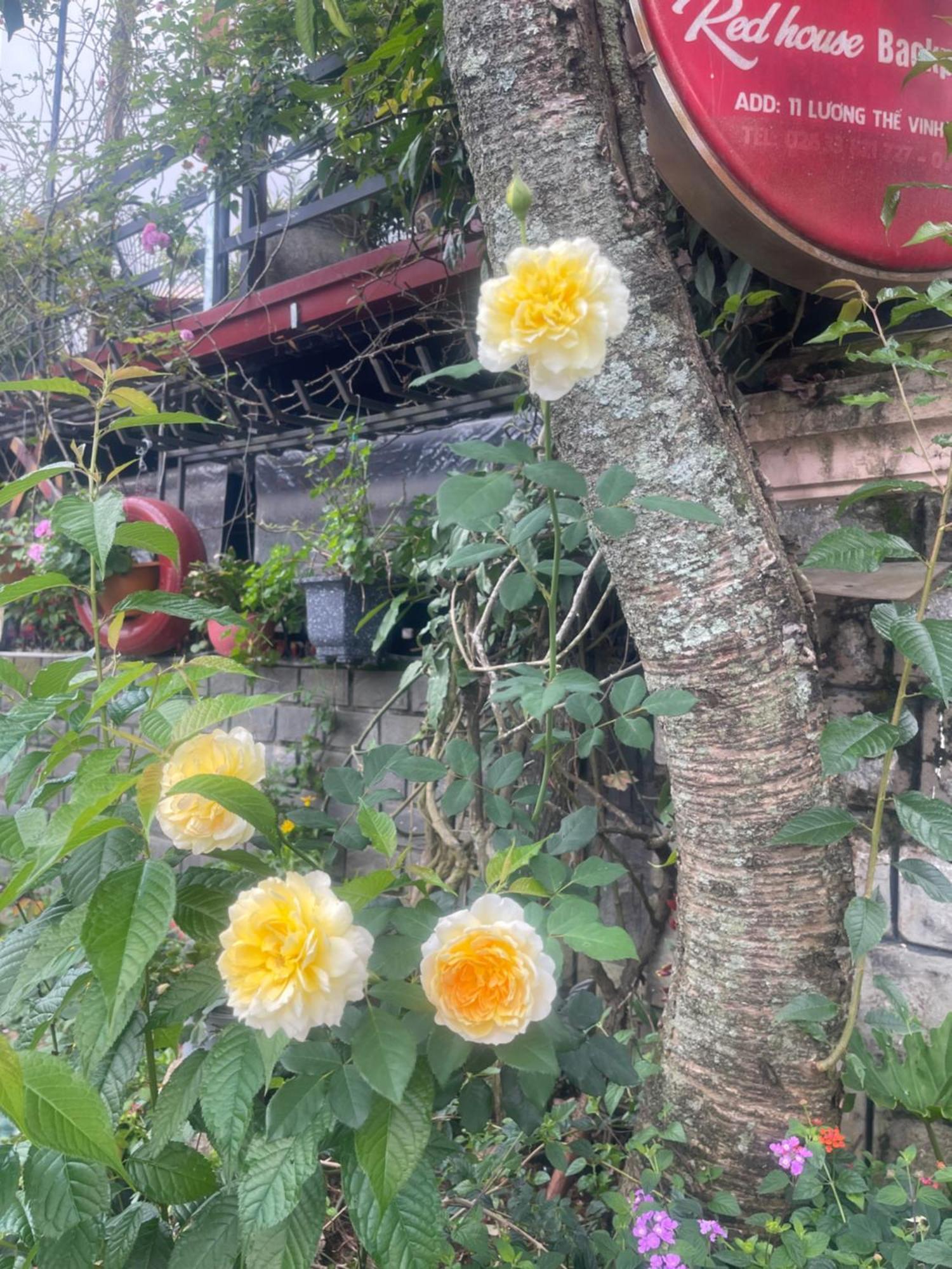 Redhouse Dalat Hotel Dış mekan fotoğraf