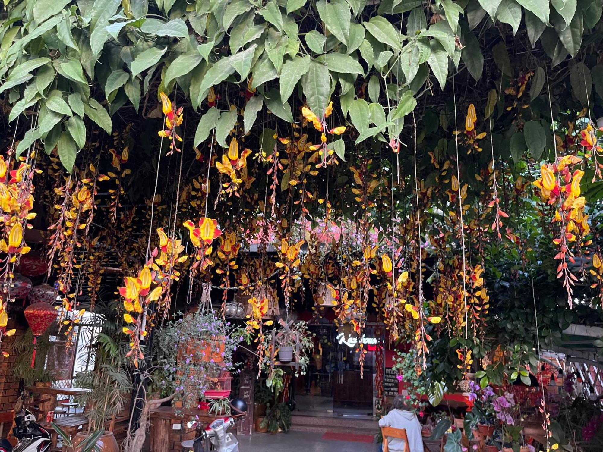 Redhouse Dalat Hotel Dış mekan fotoğraf